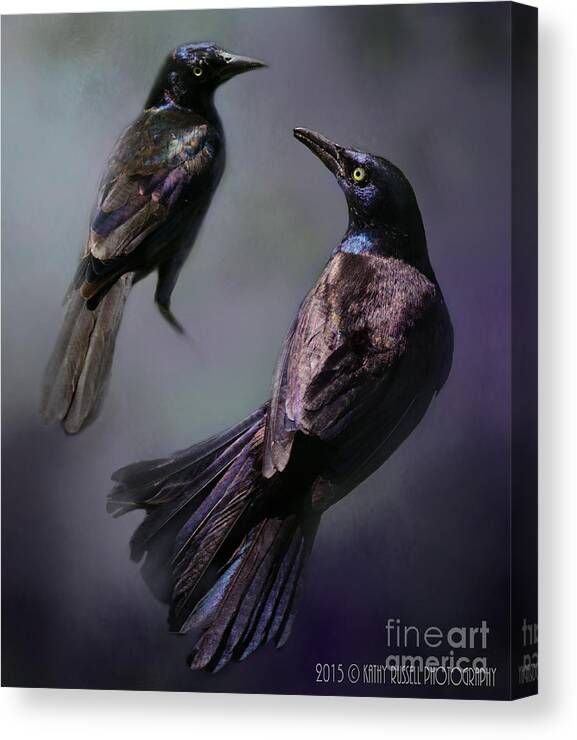 Purple Canvas Print featuring the photograph Grackles Study by Kathy Russell