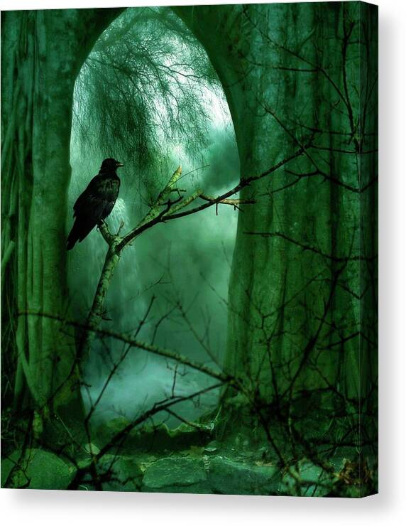 Crow Canvas Print featuring the photograph The Watch by Stoney Lawrentz