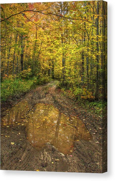 Autumn Canvas Print featuring the photograph Autumn reflections by Patricia Dennis