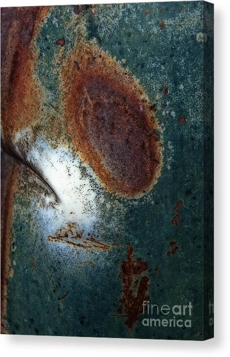 Abstract Canvas Print featuring the photograph Extremophile Abstract by Lee Craig