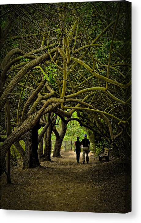  Canvas Print featuring the photograph Nature Walk by Joseph Hollingsworth