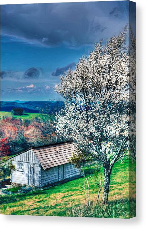 North Carolina Canvas Print featuring the painting Springtime in the Blue Ridge Mountains II by Dan Carmichael