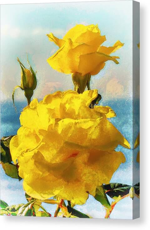 Flowers Canvas Print featuring the photograph Yellow Roses on the Coast by Joseph Hollingsworth