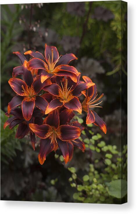  Flower Canvas Print featuring the photograph Hot Bouquet by Morris McClung