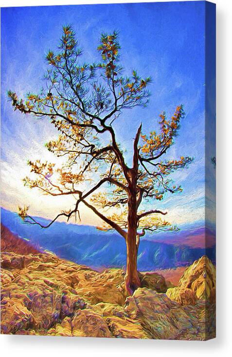 Blue Ridge Canvas Print featuring the painting Tree and Rocks in the Blue Ridge Near Sunset AP by Dan Carmichael