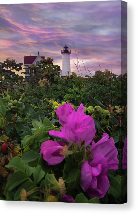 Lighthouse Canvas Print featuring the photograph Nubble Lighthouse Pink Sunrise by Joann Vitali