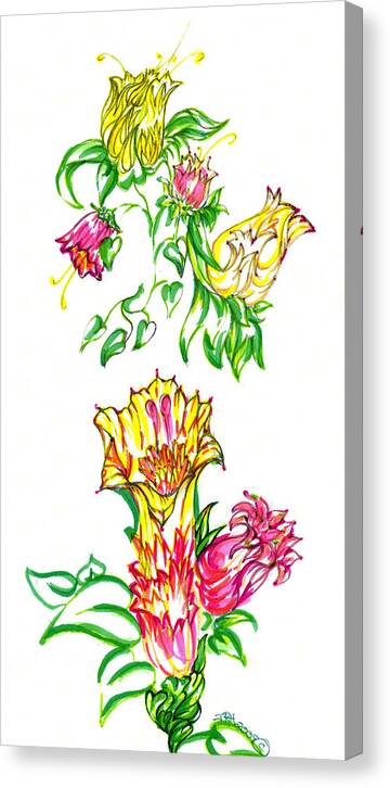 Garden Of Eden Collection Canvas Print featuring the drawing Summer Flowers by Judith Herbert