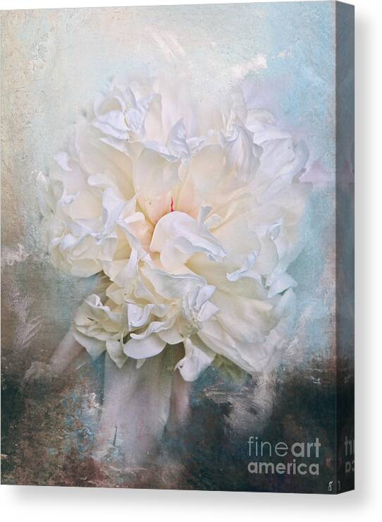 Abstract Canvas Print featuring the photograph Abstract Peony in Blue by Jai Johnson