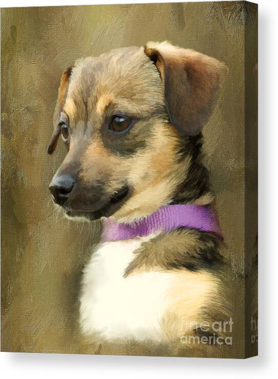 Chihuahua Canvas Print featuring the digital art Portrait of Maizie by Jayne Carney