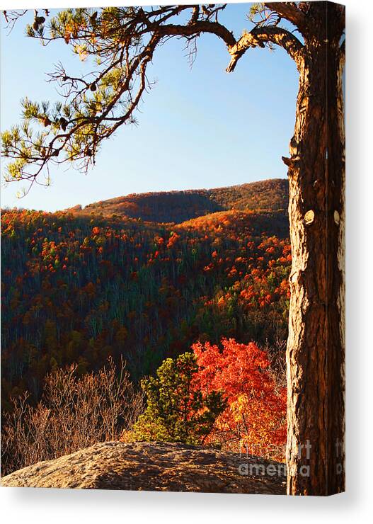 Photograph Canvas Print featuring the photograph Shenandoah In The Fall by M Three Photos