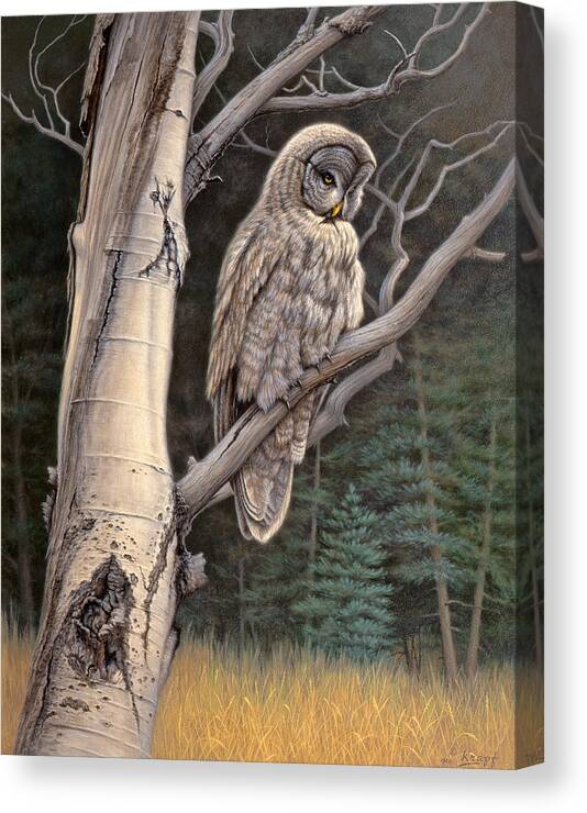 Wildlife Canvas Print featuring the painting Visitor from the north-Great Grey Owl by Paul Krapf