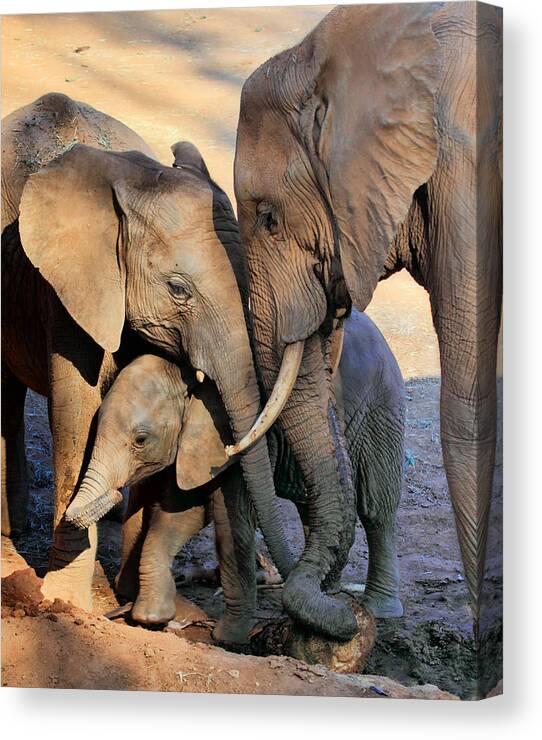 We Are Family - Ann Van Breemen Canvas Print featuring the photograph We Are Family by Ann Van Breemen