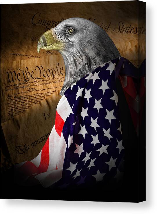 Eagle Canvas Print featuring the photograph We The People by Tom Mc Nemar