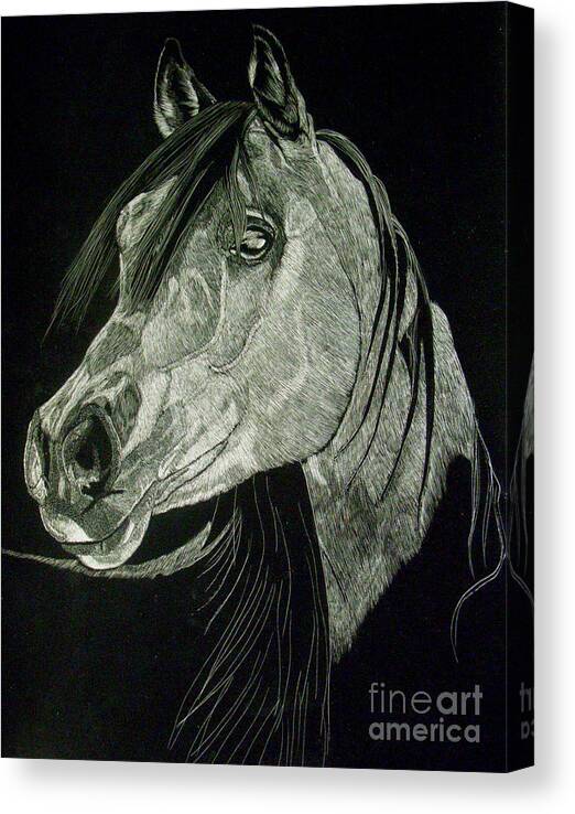 Horse Canvas Print featuring the drawing April the Horse by Yenni Harrison