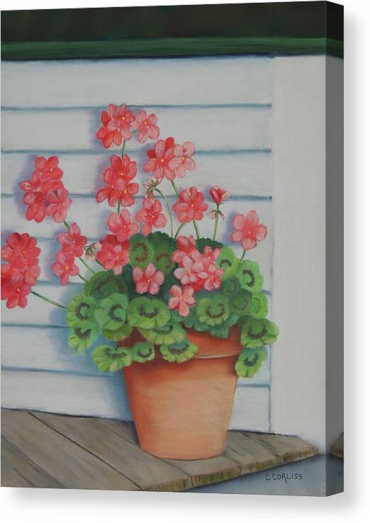 Front Canvas Print featuring the pastel Front Porch Geraniums by Carol Corliss