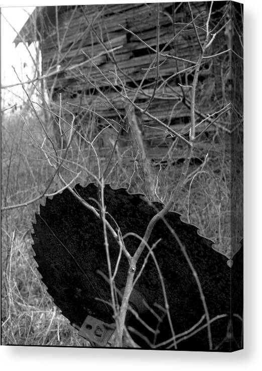 Ansel Adams Canvas Print featuring the photograph House-saw-old by Curtis J Neeley Jr