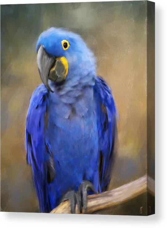 Bird Canvas Print featuring the painting Hyacinth Macaw by Jai Johnson