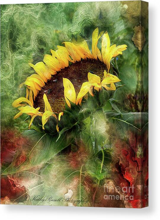  Canvas Print featuring the digital art Sunflower Dreams by Kathy Russell
