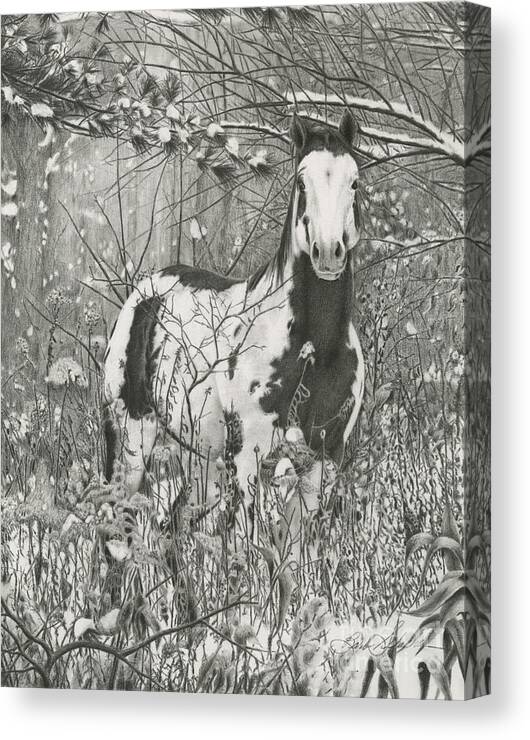 Horse Canvas Print featuring the drawing Tinman by Barby Schacher