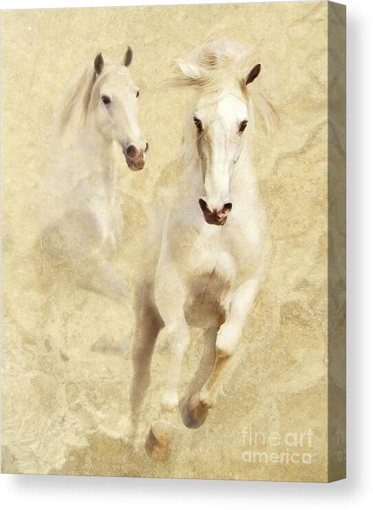 Gray Canvas Print featuring the photograph White Thunder by Melinda Hughes-Berland