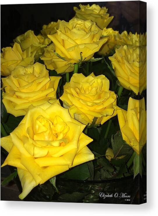 Yellow Canvas Print featuring the photograph Yellow Roses by Elizabeth Moore