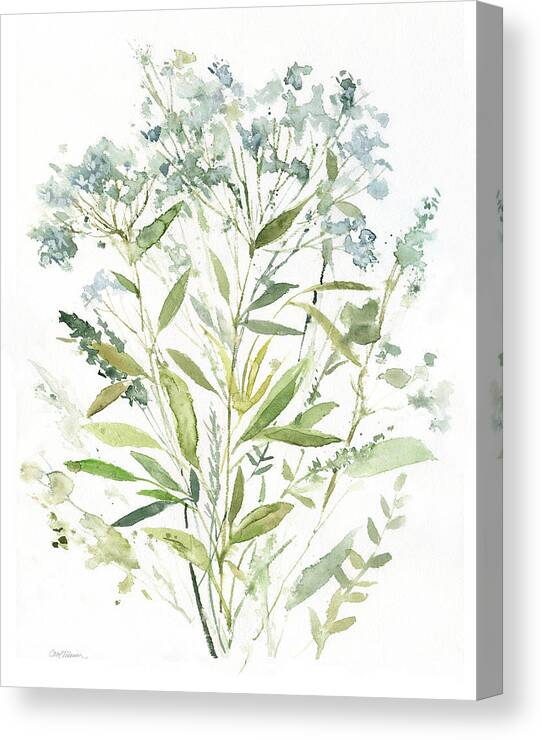 Watercolor Wild Flower Blue Green Weeds Queen Anne's Lace Botanical Contemporary Canvas Print featuring the painting Garden Lace 1 #1 by Carol Robinson