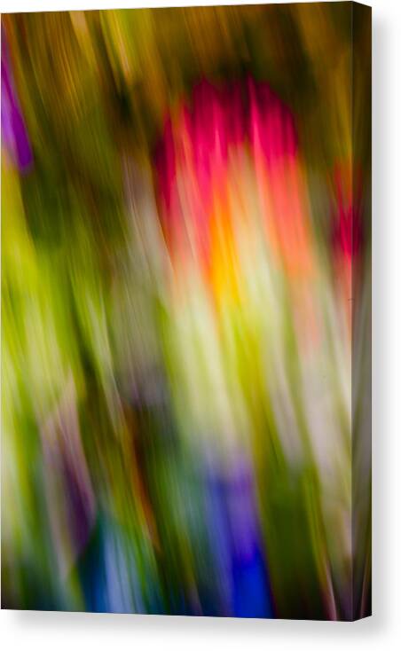 Butterfly World Canvas Print featuring the photograph Abstraction of Butterflies by Jon Glaser