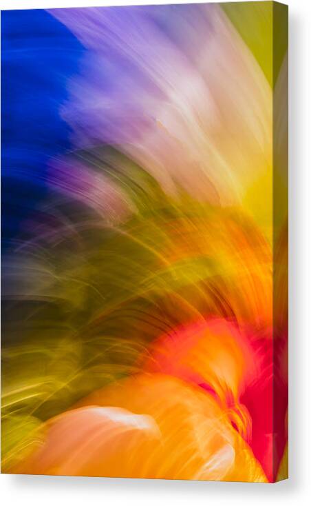 Abstract Flower Canvas Print featuring the photograph Summer Bloom by Jon Glaser