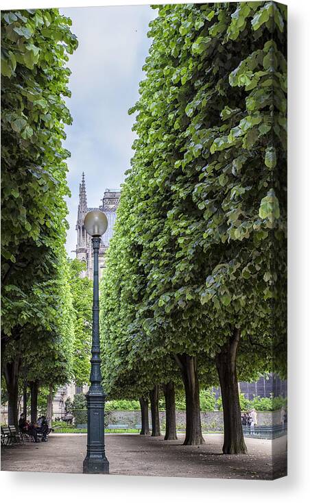 East Gardens Canvas Print featuring the photograph A glimpse through the trees by Georgia Clare