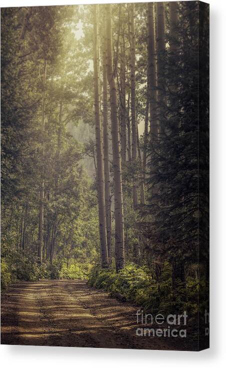 Aspen Canvas Print featuring the photograph Breakthrough on the way by Tim Wemple