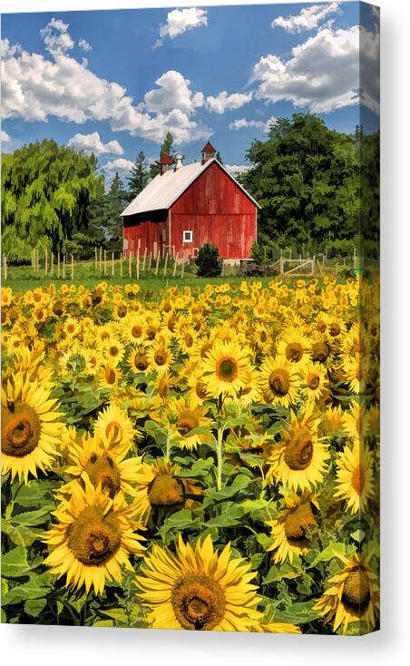 Door County Canvas Print featuring the painting Field of Sunflowers by Christopher Arndt