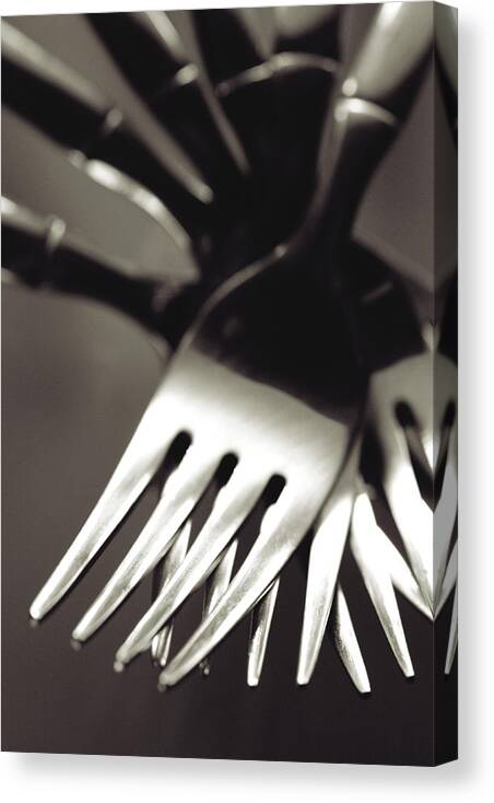 Forks Canvas Print featuring the photograph Forks by Matthew Pace