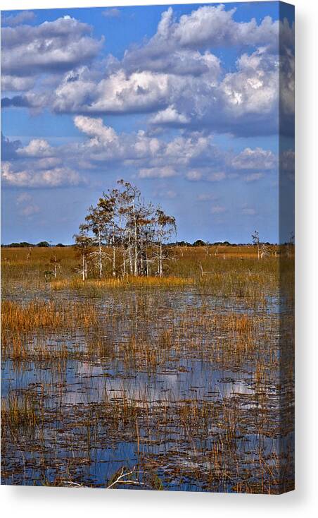 Florida Canvas Print featuring the photograph Glades by Matthew Pace