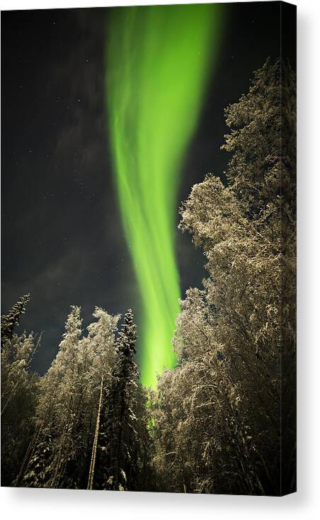  Canvas Print featuring the photograph Lady Aurora by Amber Fite