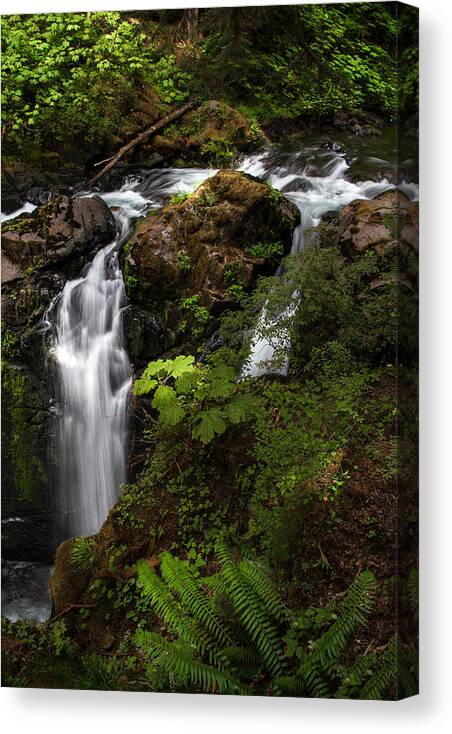 Olympic National Park Canvas Print featuring the photograph Olympic National Park by Larry Marshall