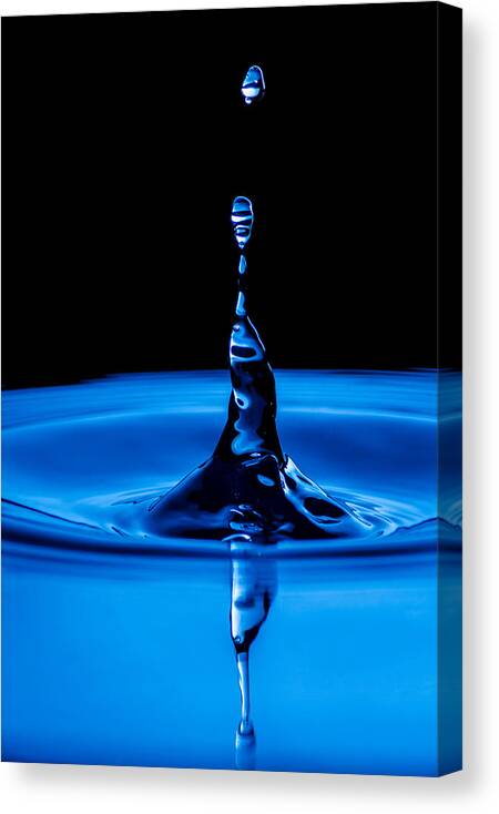 Drop Canvas Print featuring the photograph Reaching Out by Wild Fotos