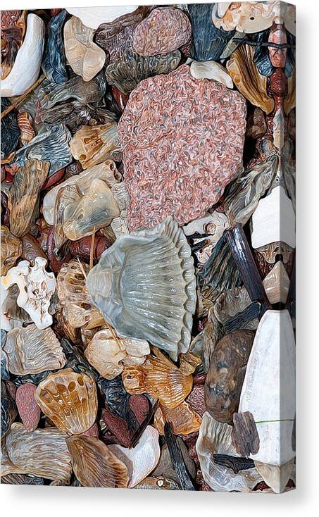 Shells Canvas Print featuring the photograph Sea Debris 2 by WB Johnston