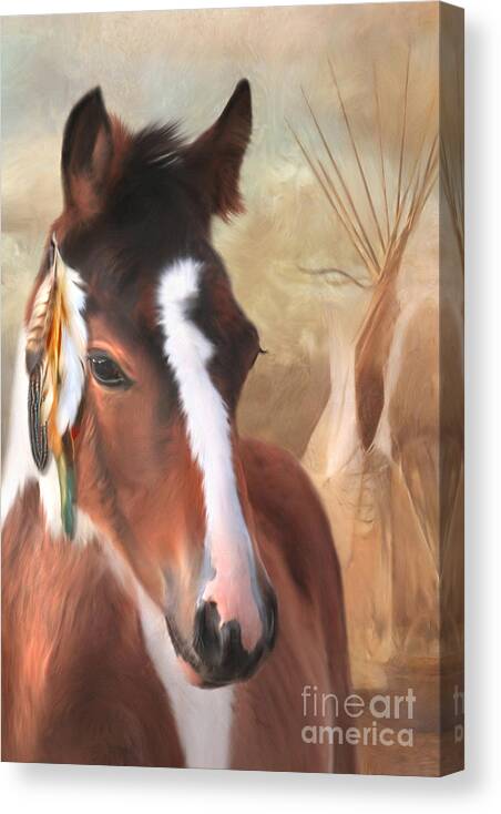 Pinto Canvas Print featuring the photograph Small Chief Little Feathers by Trudi Simmonds