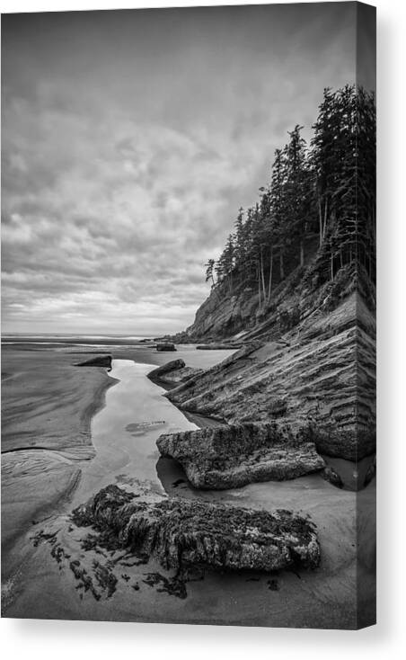 Vertical Canvas Print featuring the photograph Soul without Color by Jon Glaser