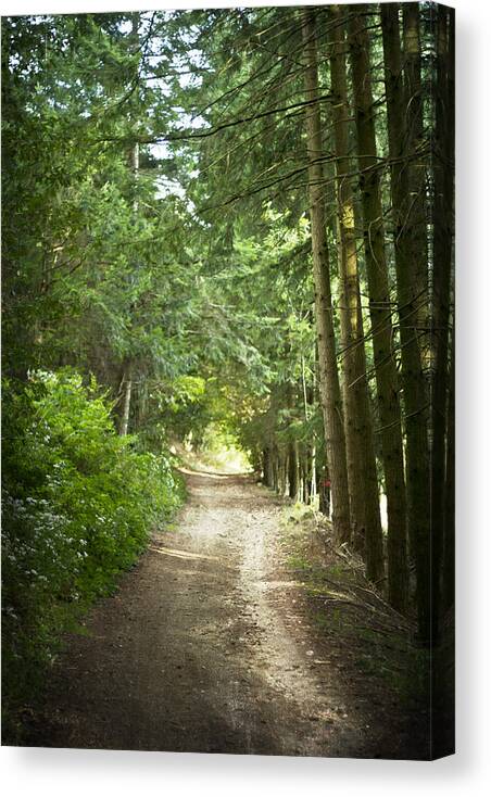 This Is The Way Walk In It Canvas Print featuring the photograph This is the Way Walk in It by Georgia Clare
