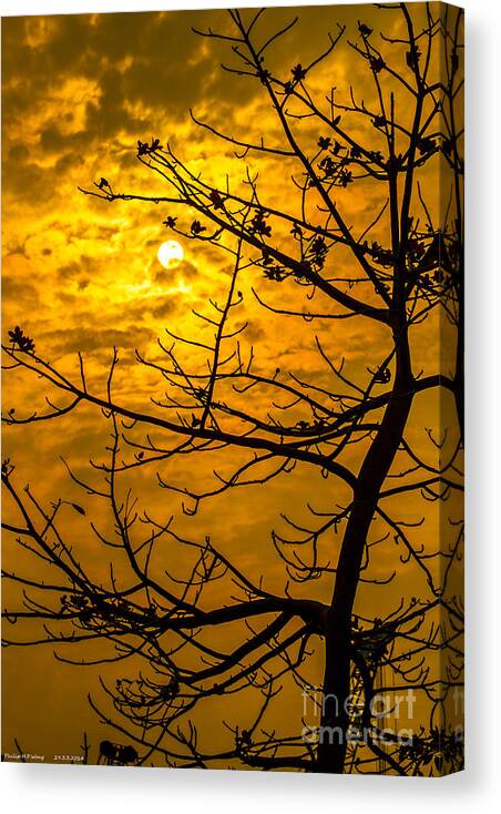Gold Canvas Print featuring the painting Tree Shadow by Philip HP Wong