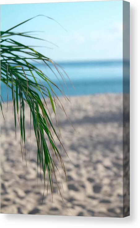 Tropical Canvas Print featuring the photograph Tropical by Terry Walsh