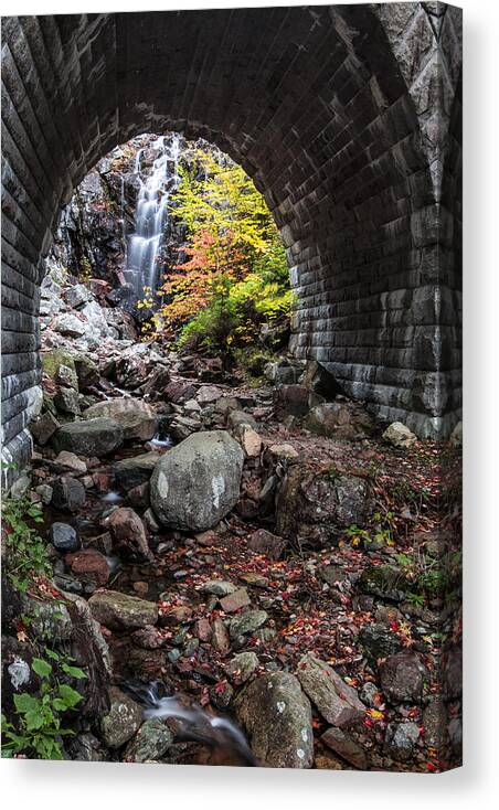 Vertical Canvas Print featuring the photograph Under the Road by Jon Glaser