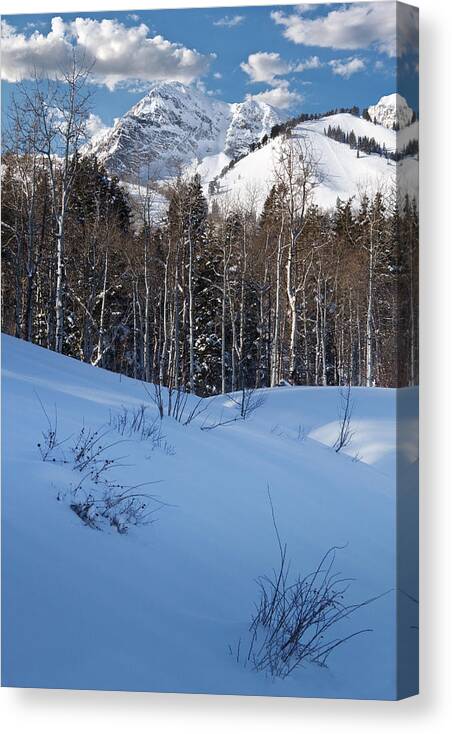 Wasatch Mountains Canvas Print featuring the photograph Winter in the Wasatch Mountains of Northern Utah #3 by Douglas Pulsipher