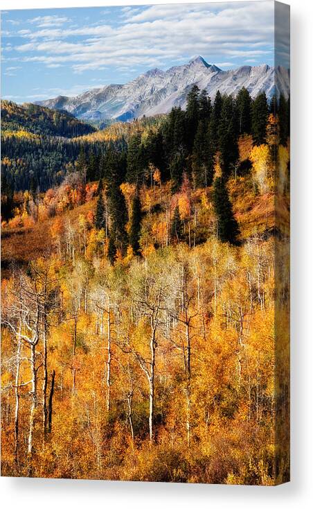 Mt Nebo; Mount; Mountain; Nebo Loop; Autumn; Fall; Colors; Aspens; Trees; Forest; Forested; Alpine; Scene; Scenery; Scenic; Wasatch Mountains; Utah Canvas Print featuring the photograph Autumn in the Wasatch Mountains #4 by Douglas Pulsipher