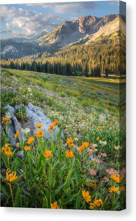 Wasatch Mountains Canvas Print featuring the photograph Wasatch Mountains #4 by Douglas Pulsipher