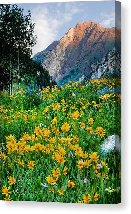 Little Cottonwood Canyon Canvas Print featuring the photograph Wasatch Mountains #5 by Douglas Pulsipher