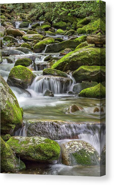 Vertical Canvas Print featuring the photograph Back Country Stream by Jon Glaser