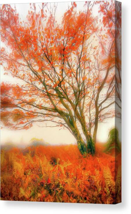Autumn Canvas Print featuring the painting Brilliant Orange Autumn Fall Colors Tree AP by Dan Carmichael