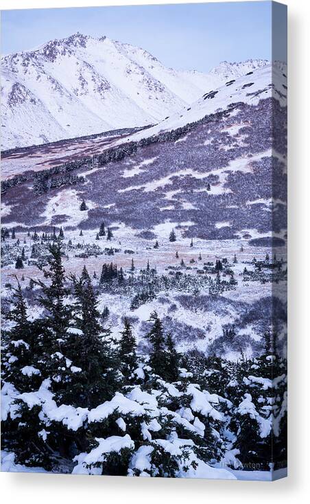 Chugach Canvas Print featuring the photograph Chugach in Alpenglow by Tim Newton